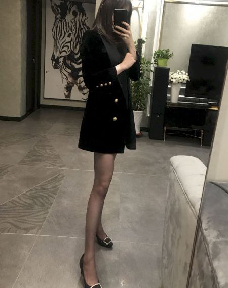 忠犬帕尔玛电影_超清天堂在线