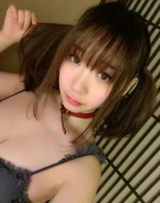 埃及猫原版动画片免费观看_国产在线视频